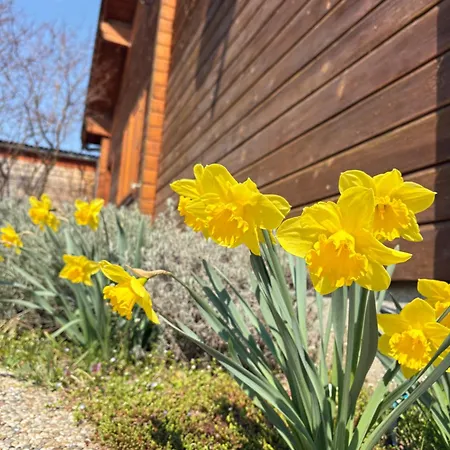 Evelyne * Fertőrákos