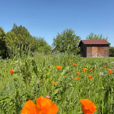Evelyne Vakantiehuis Fertőrákos