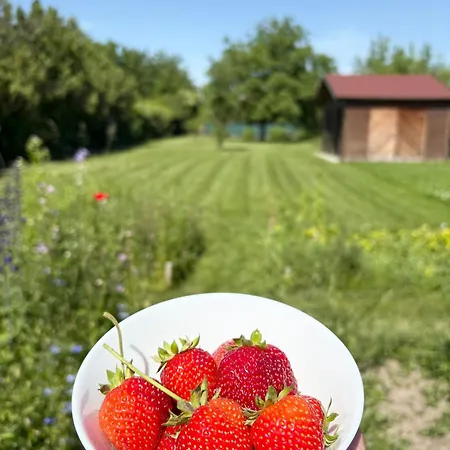 Evelyne Fertőrákos